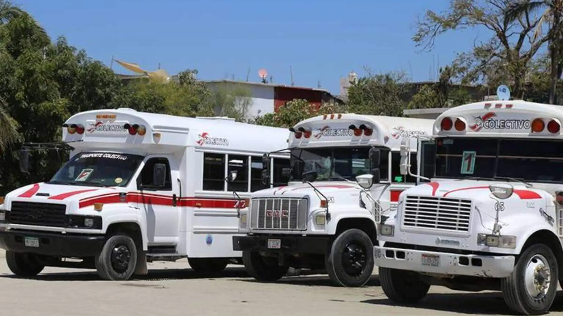 suspenden transporte en Los Cabos (1)